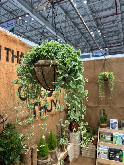 Xơ Dừa Và Kinh Tế Tuần Hoàn – Hướng Đi Bền Vững Cho Nông Nghiệp Việt Nam