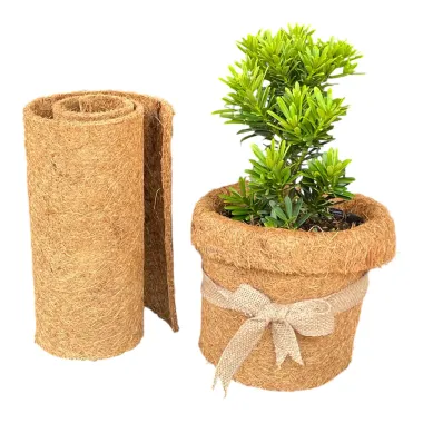 THẢM CUỘN XƠ DỪA