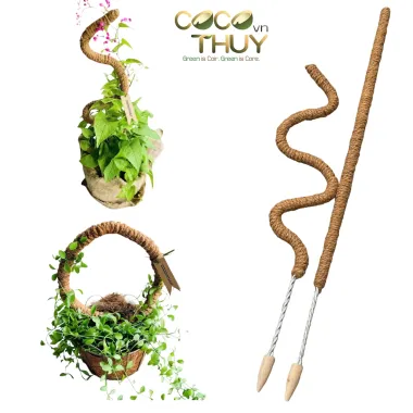 TRỤ CỘT XƠ DỪA UỐN