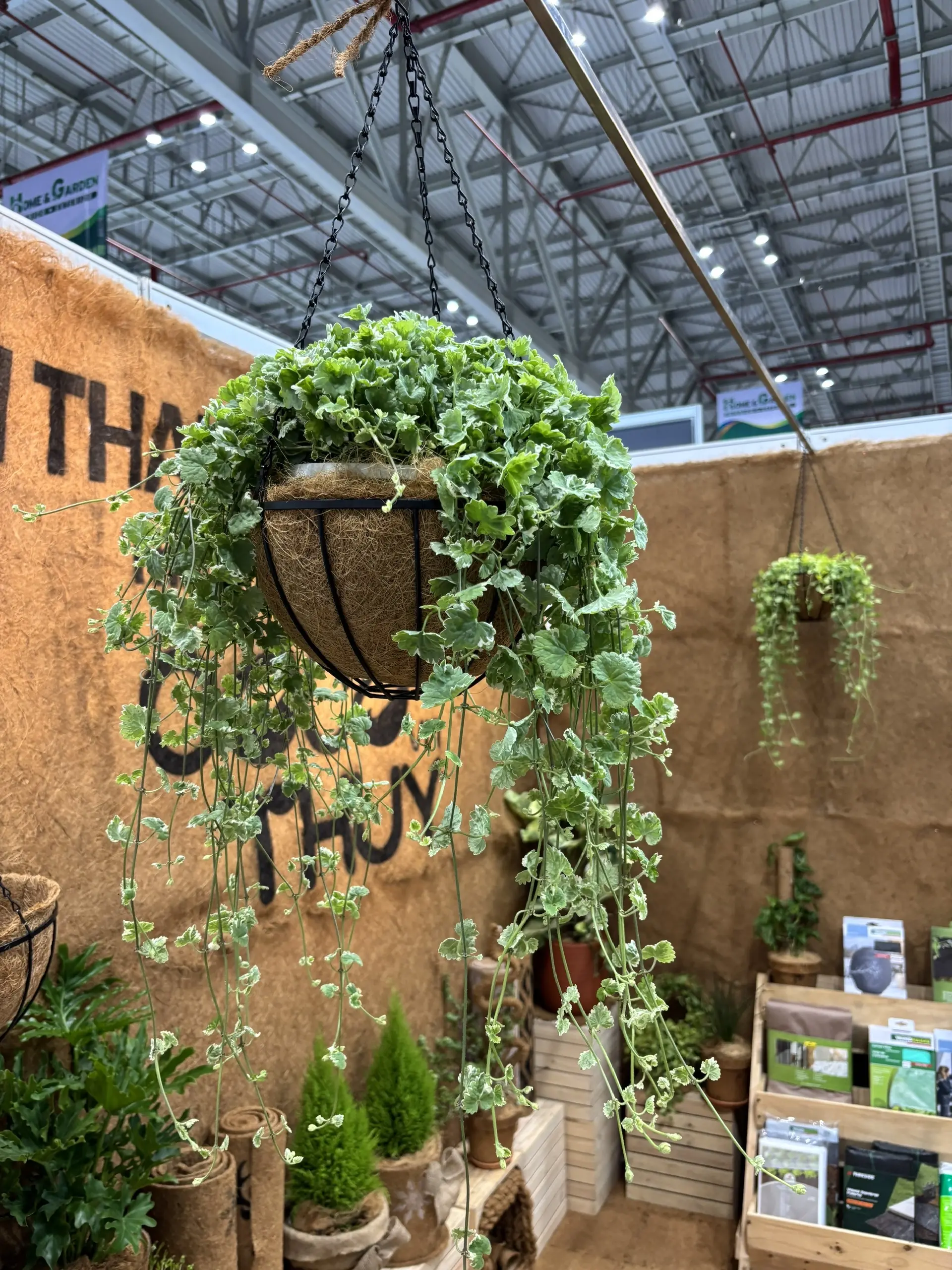 CHẬU HOA TREO XƠ DỪA